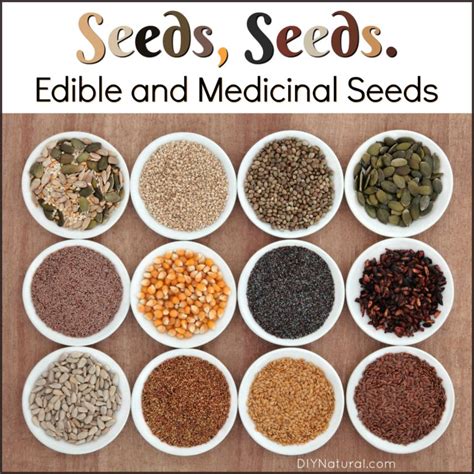 what kind of seeds are coming from china